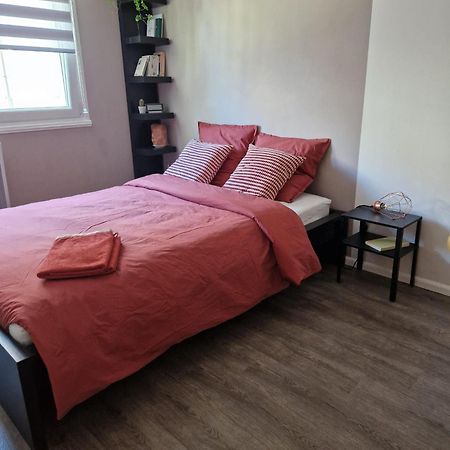 Robertsau Tres Bel Appartement Štrasburk Exteriér fotografie