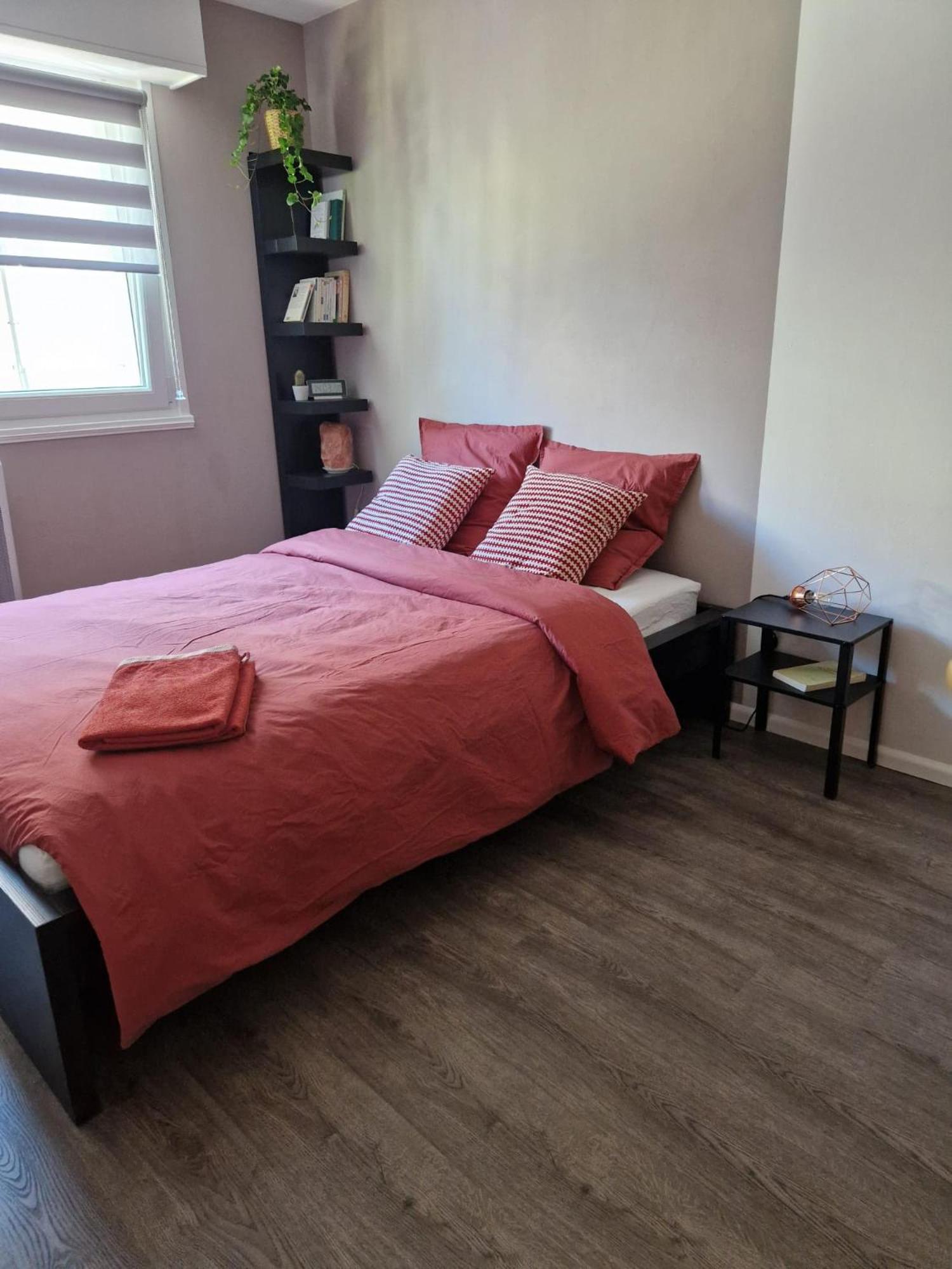 Robertsau Tres Bel Appartement Štrasburk Exteriér fotografie